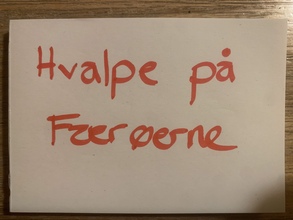 3 Coton de Tulear til salg på købhund.dk