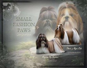 6 Shih Tzu til salg på købhund.dk