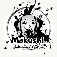7 Dalmatiner til salg på købhund.dk