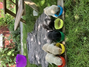 5 Labrador Retriever til salg på købhund.dk