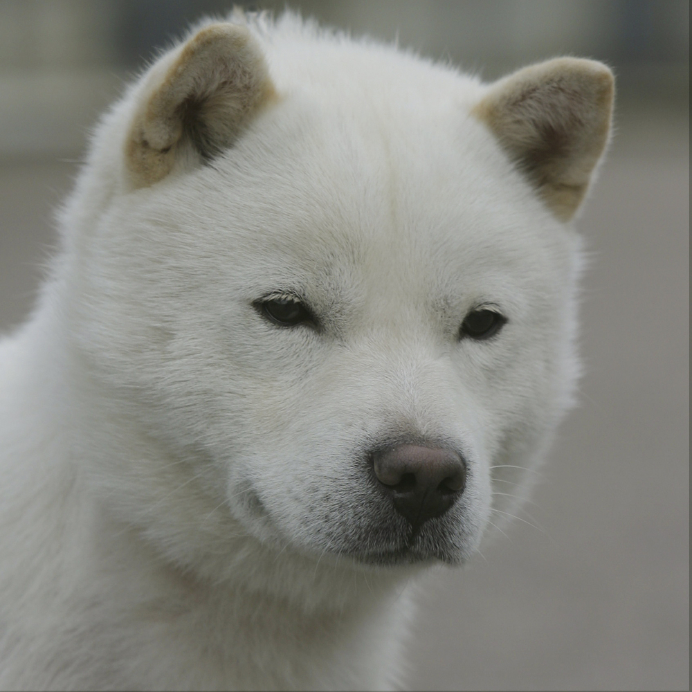 Hokkaido