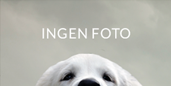 5 Cavalier King Charles Spaniel til salg på købhund.dk